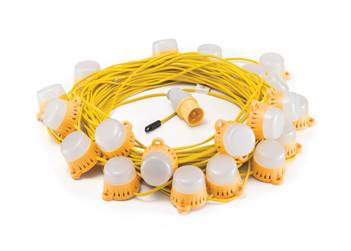 Yellow string festoon lights
